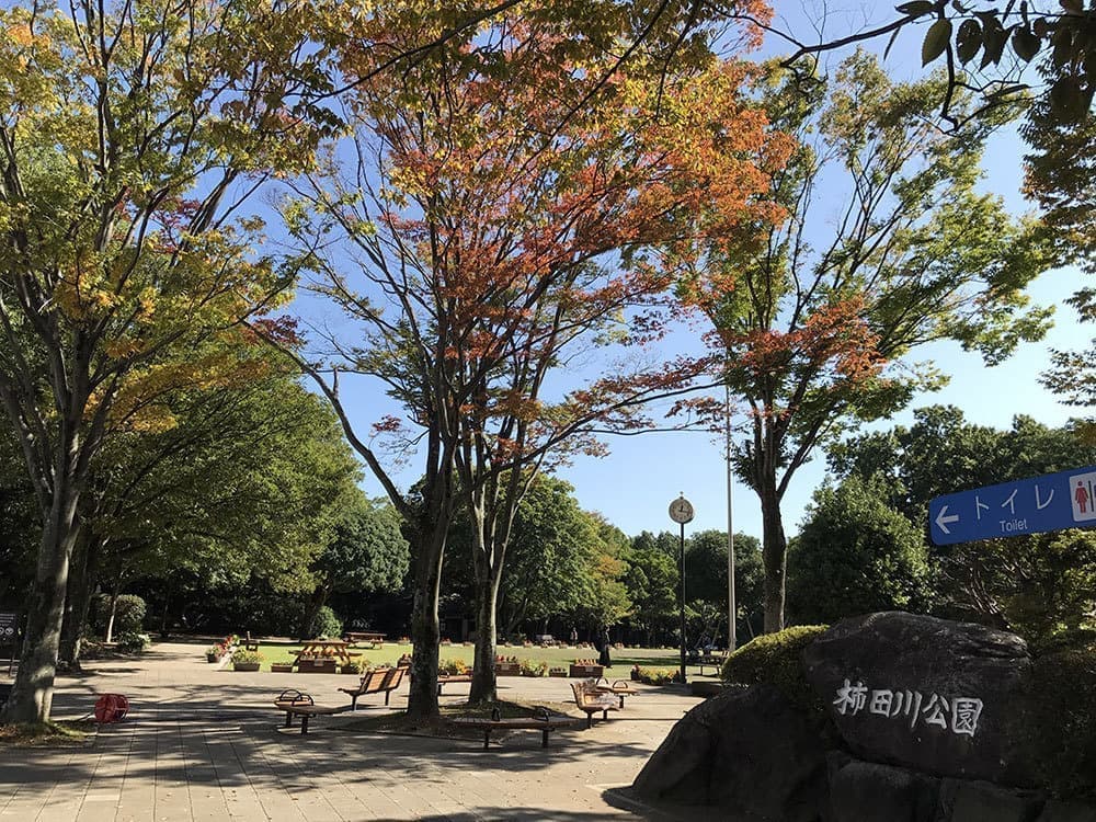 駿東郡清水町柿田川公園・清水町議会議員　松下なおみ